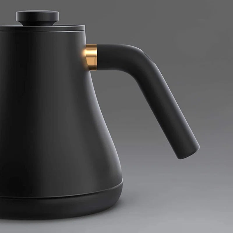 Stainless Steel Gooseneck Kettle