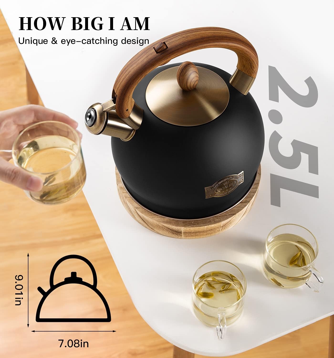 Tea Kettle & Tea Pot, Stainless Steel Tea Kettle for Stove Top, 2.64 Quart Whistling Loud Tea Kettles (Polished Black)