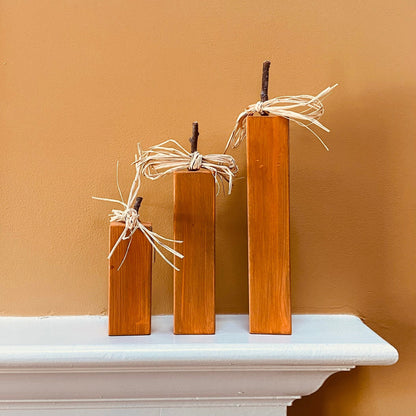 Hand Painted Pumpkins, Set of 3, Rustic Farmhouse Pumpkins, Fall Decor